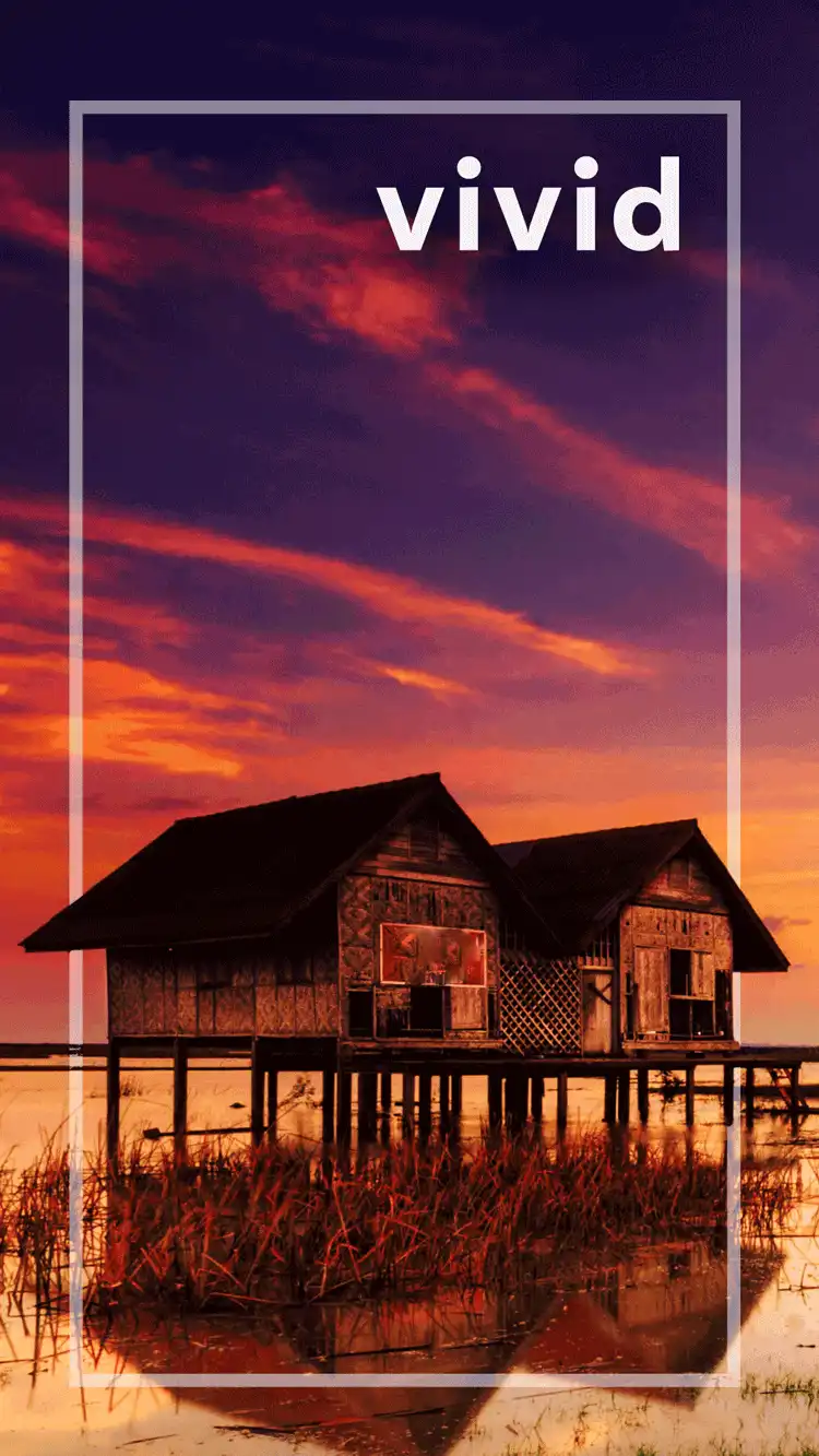 One Word Impact  Vivid