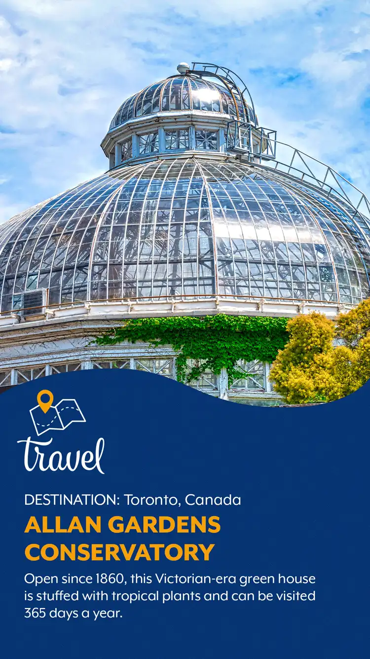 Travel  Allan Gardens