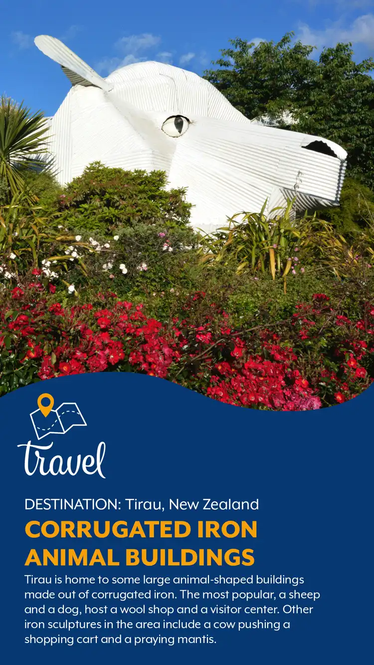 Travel  Animal Buildings