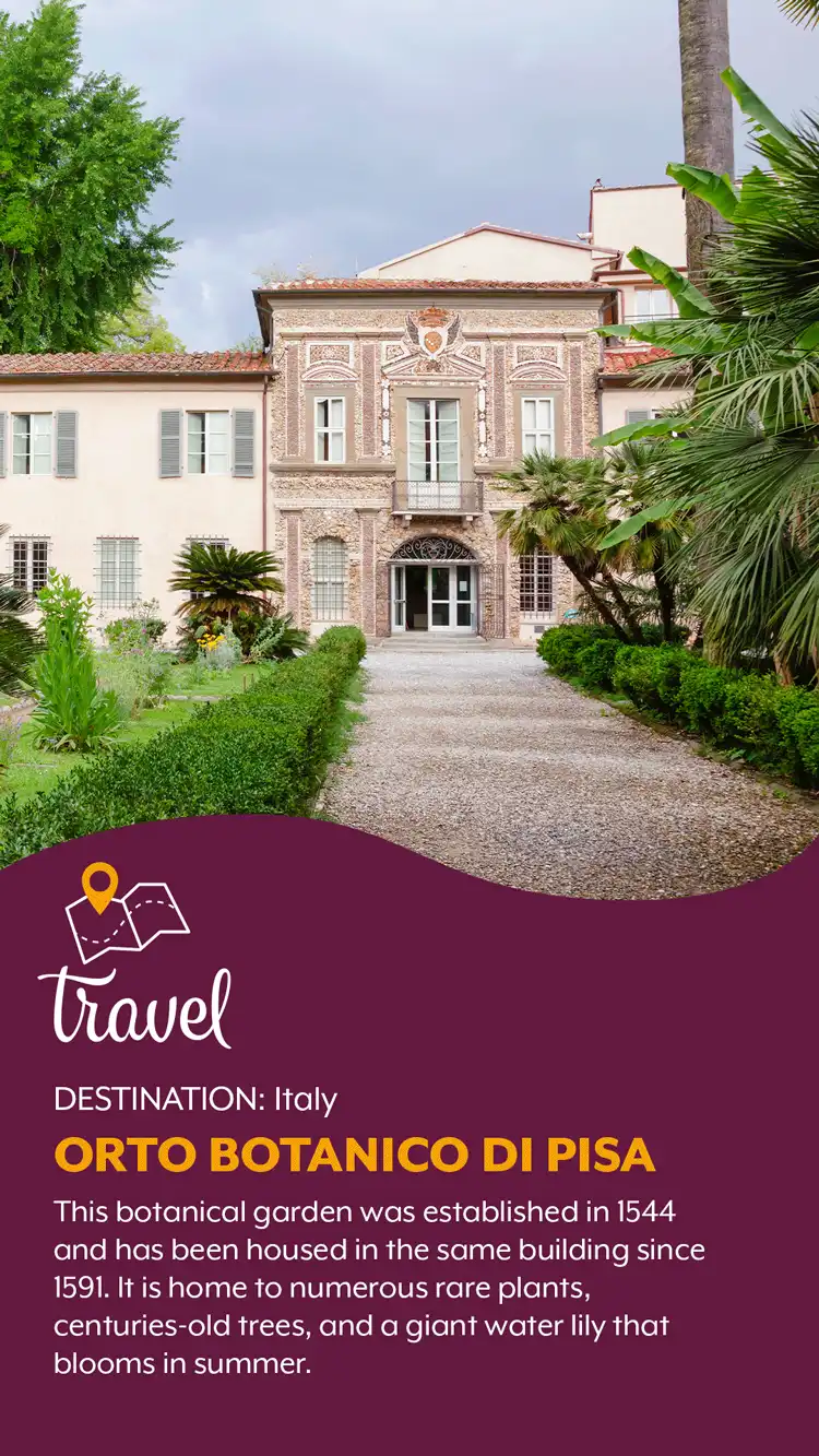 Travel  Botanico Di Pisa