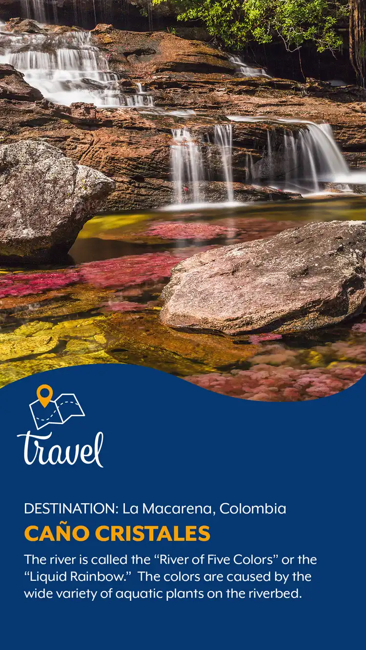 Travel  Cano Cristales