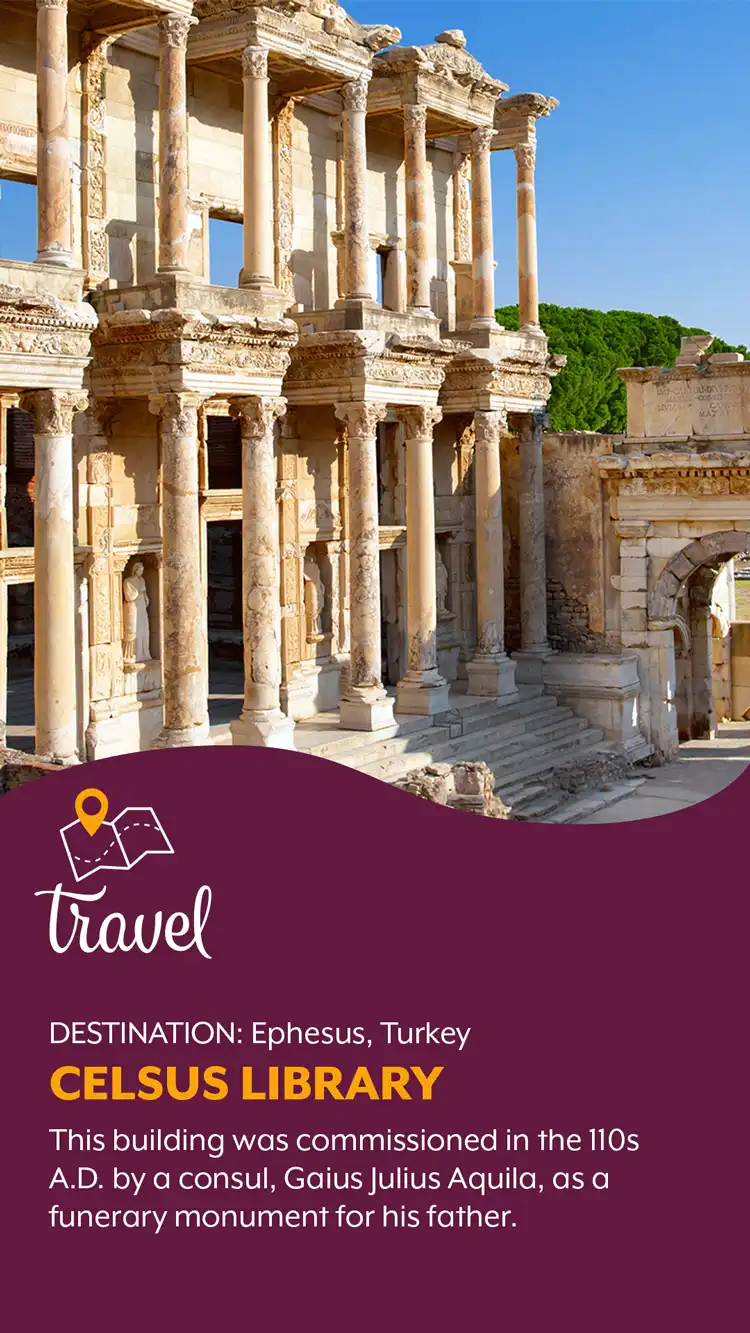 Travel  Celsus Library