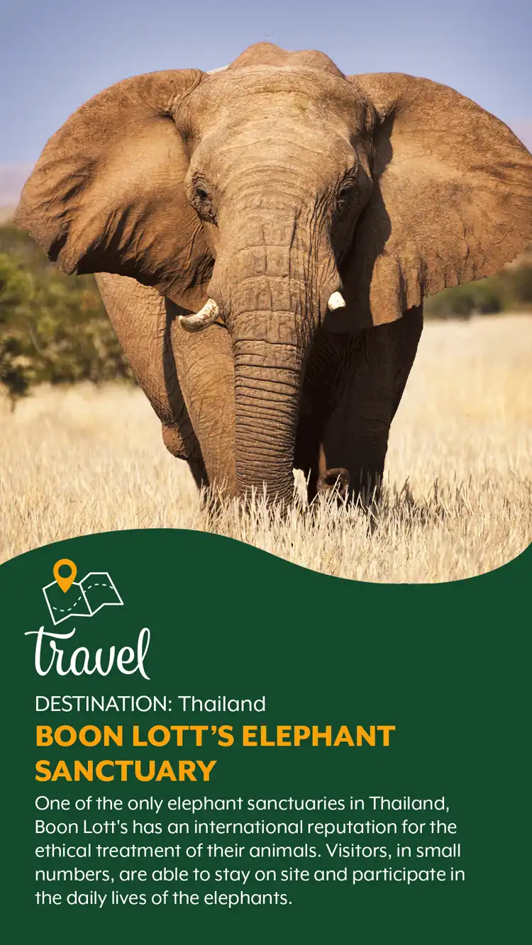 Travel  Elephant Sanctuary