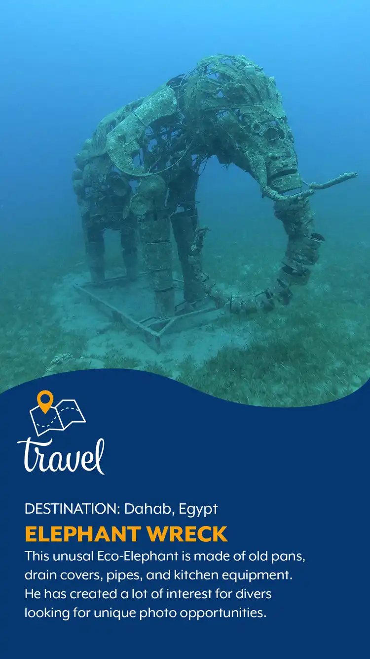 Travel  Elephant Wreck