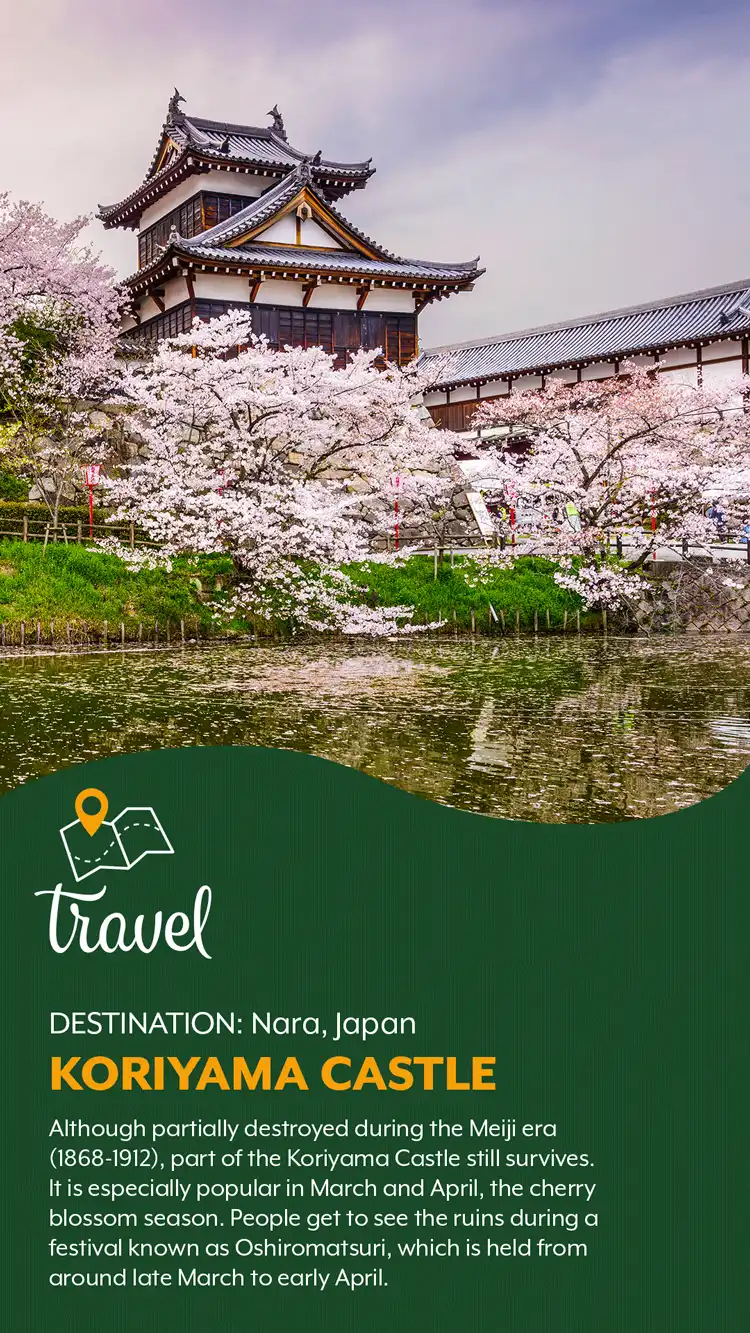 Travel  Koriyama Castle