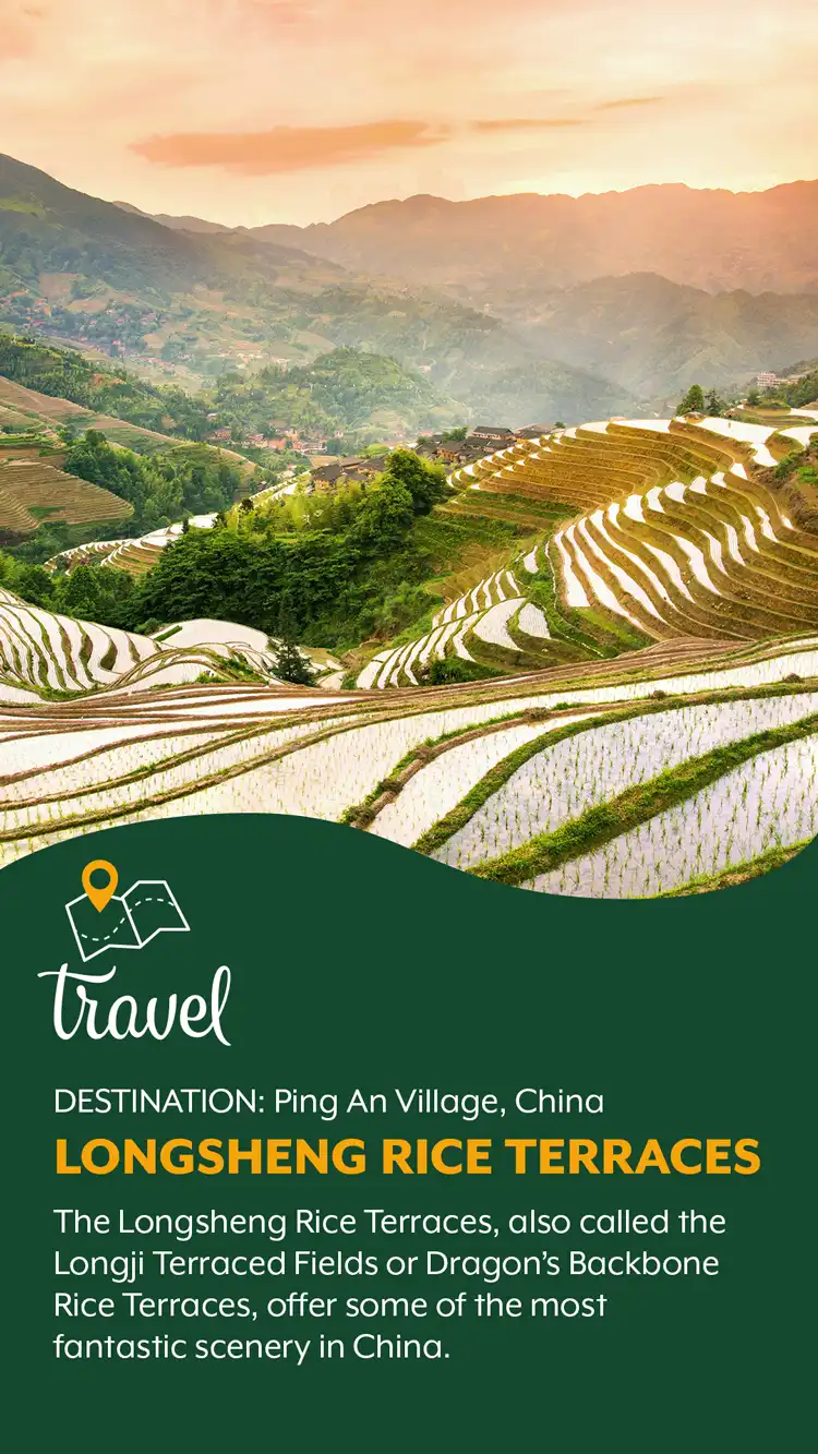 Travel  Longsheng Rice Terrace