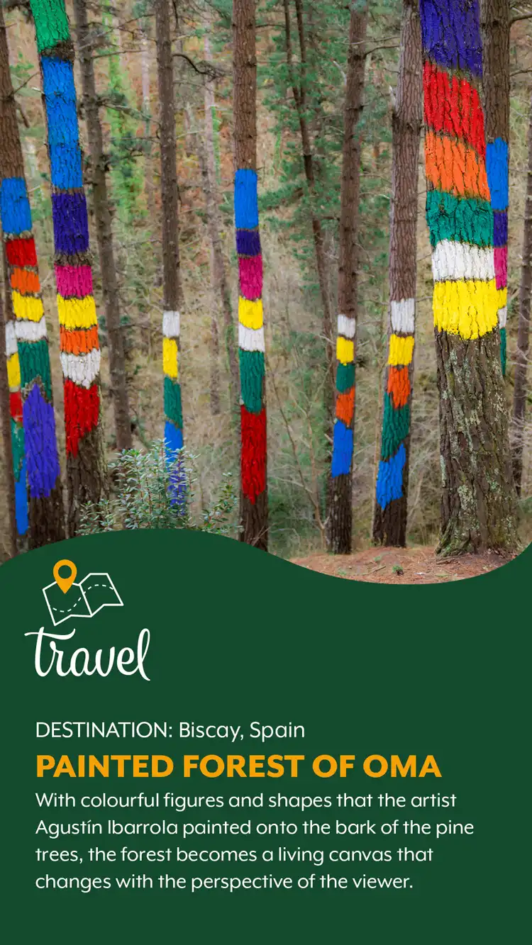 Travel  Painted Forest