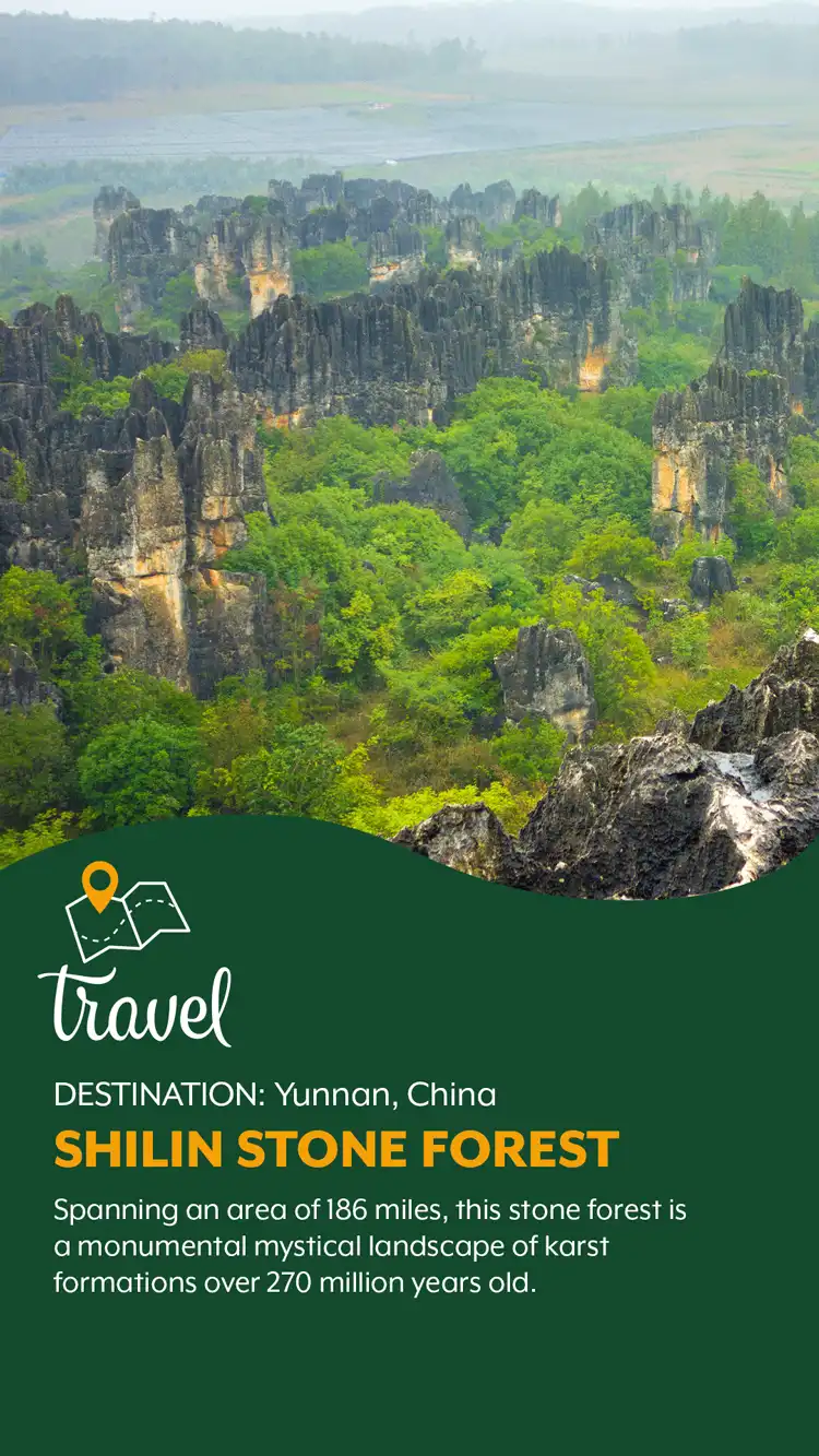 Travel  Shilin Forest