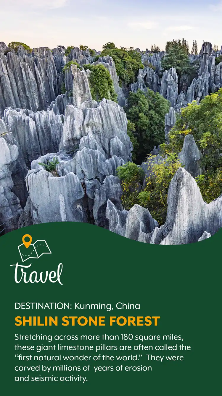 Travel  Stone Forest