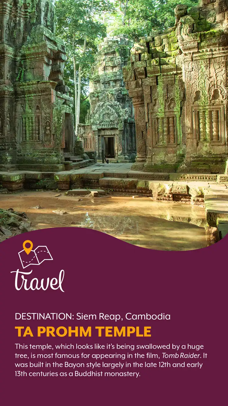 Travel  Ta Prohm Temple
