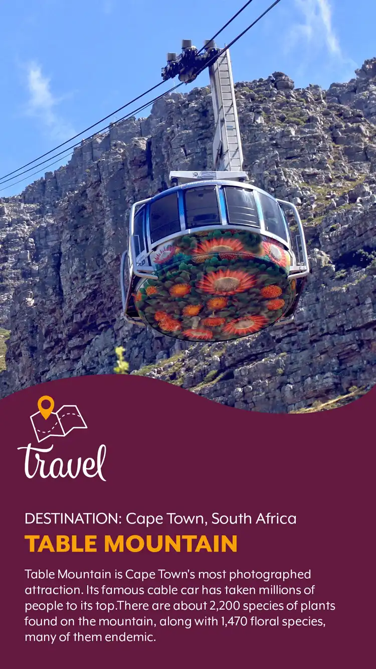Travel  Table Mountain