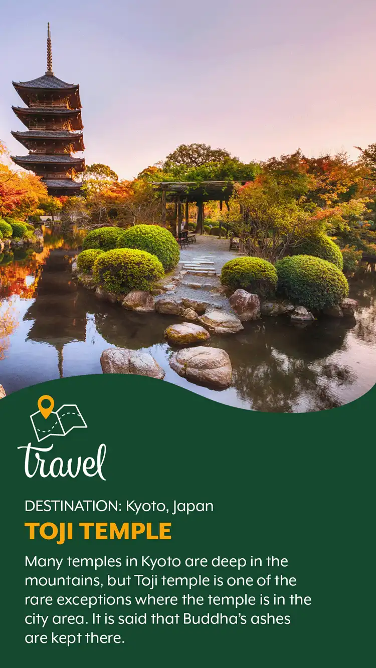 Travel  Toji Temple