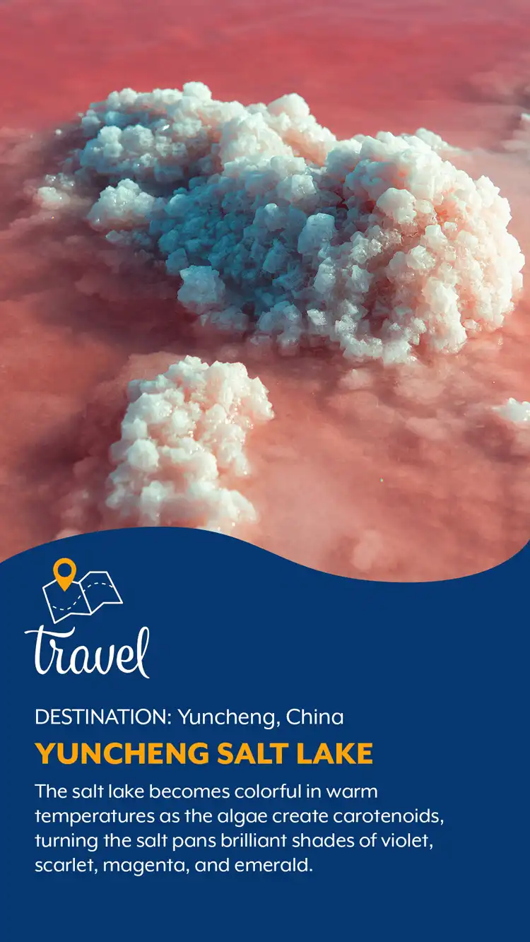 Travel  Yuncheng Salt Lake
