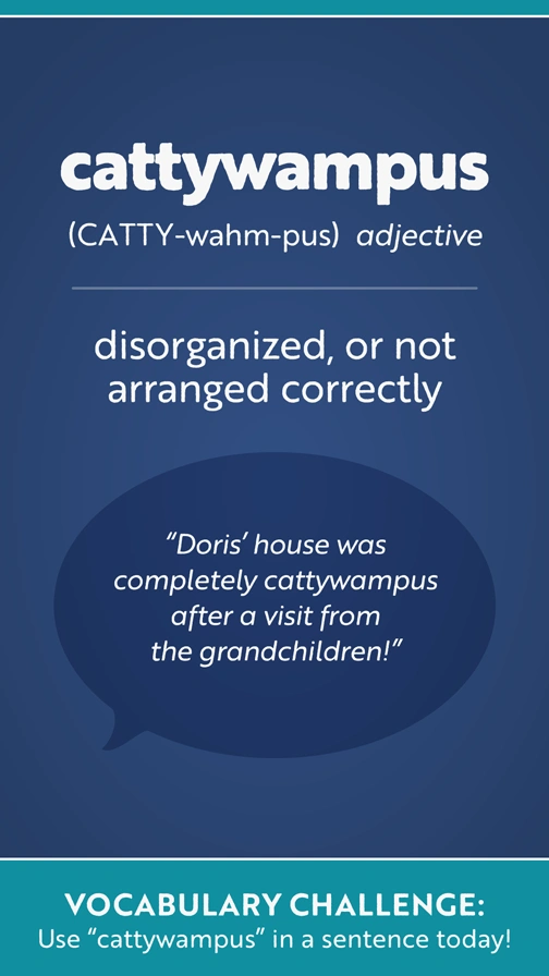 Fun Vocab  Cattywampus