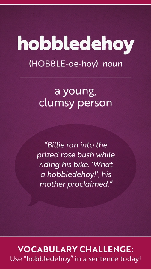 Fun Vocab  Hobbledehoy