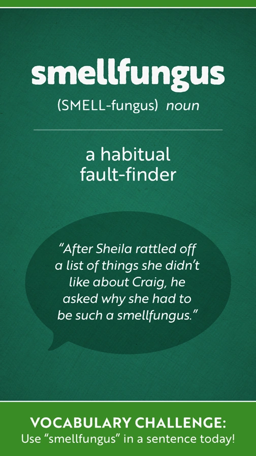 Fun Vocab  Smellfungus