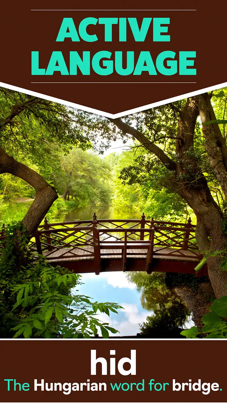 Language Learning  Bridge