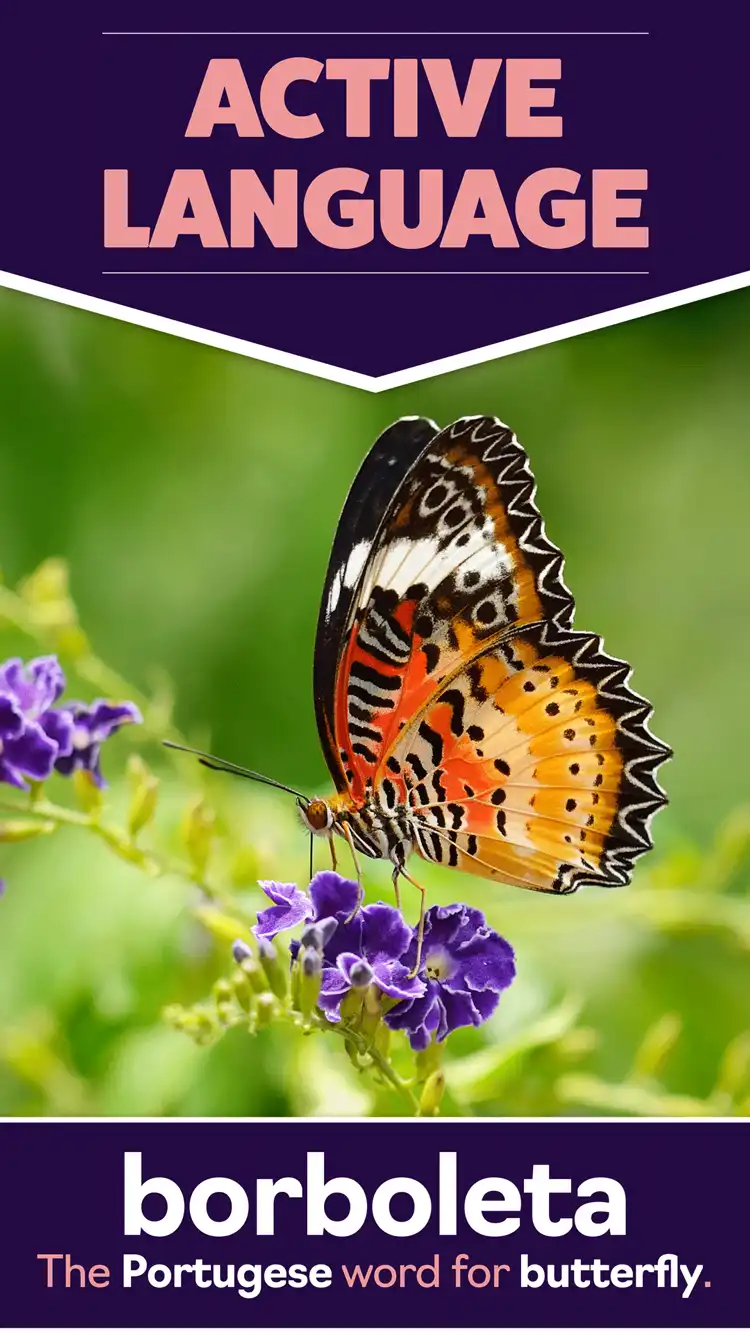 Language Learning  Butterfly