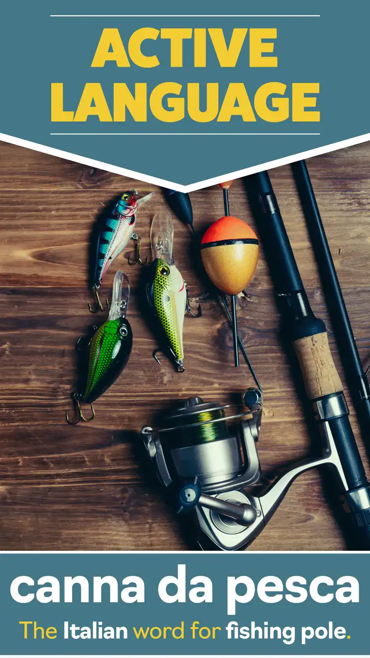 Language Learning  Fishing Pole