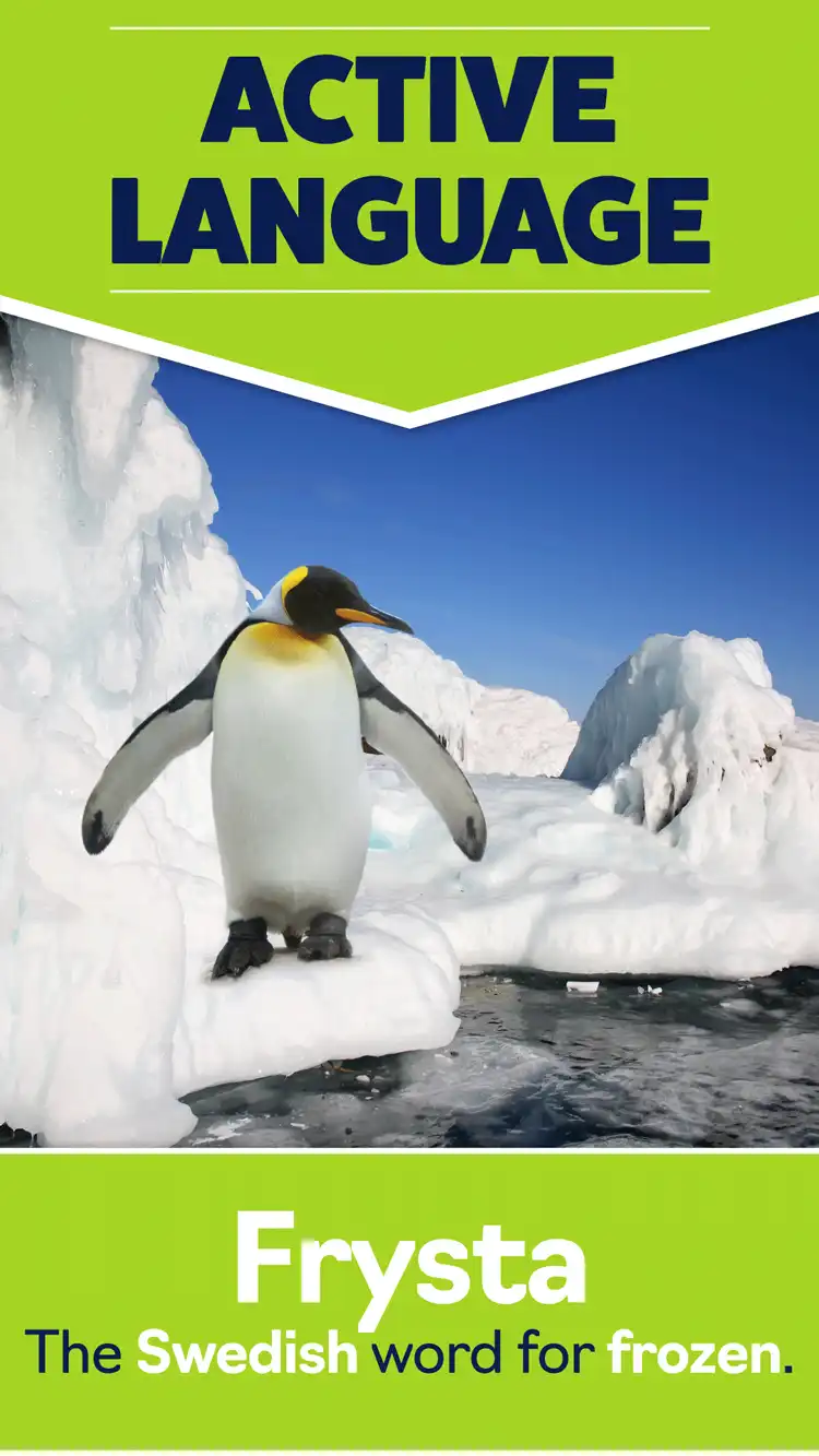 Language Learning  Frozen