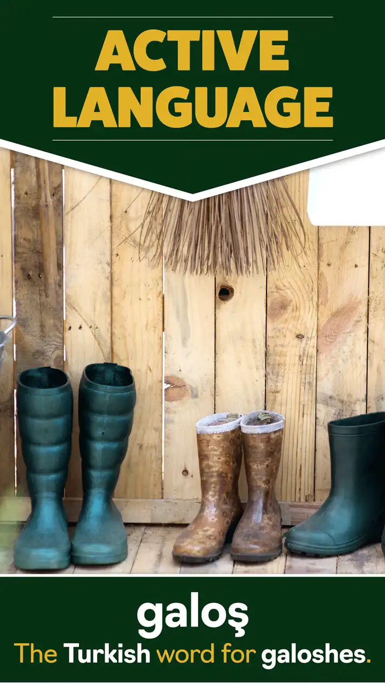 Language Learning  Galoshes