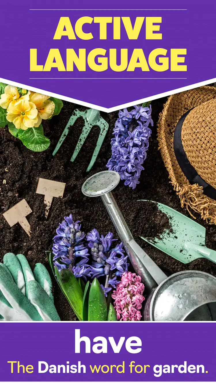 Language Learning  Garden