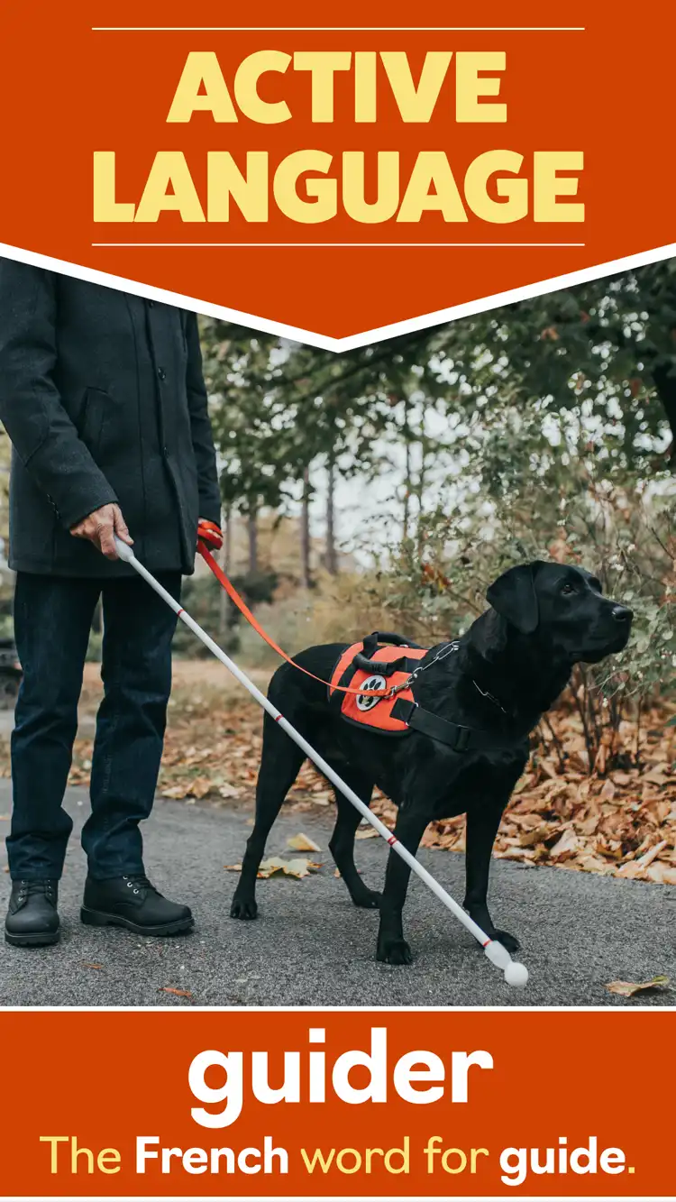 Language Learning  Guide