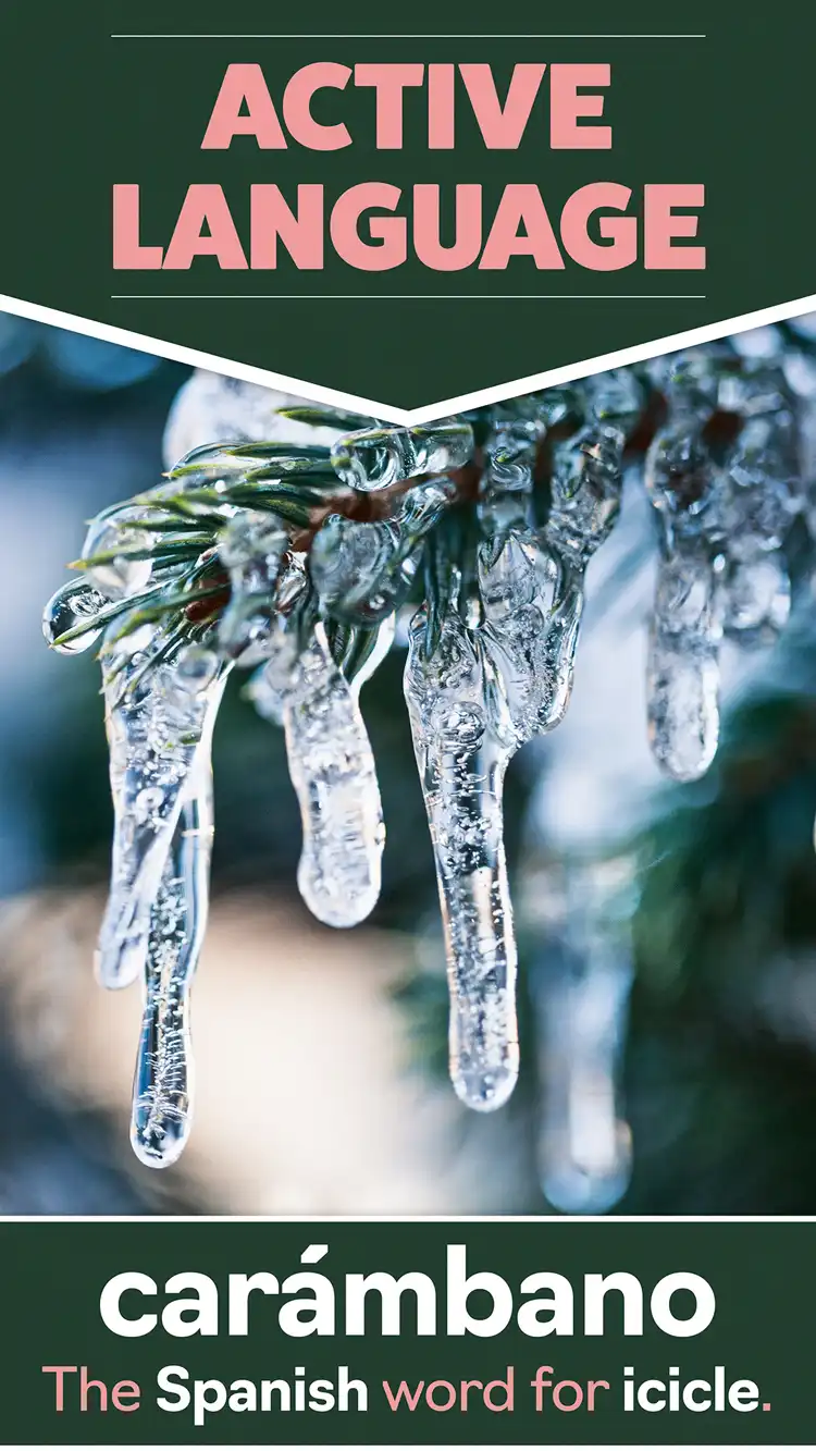 Language Learning  Icicle