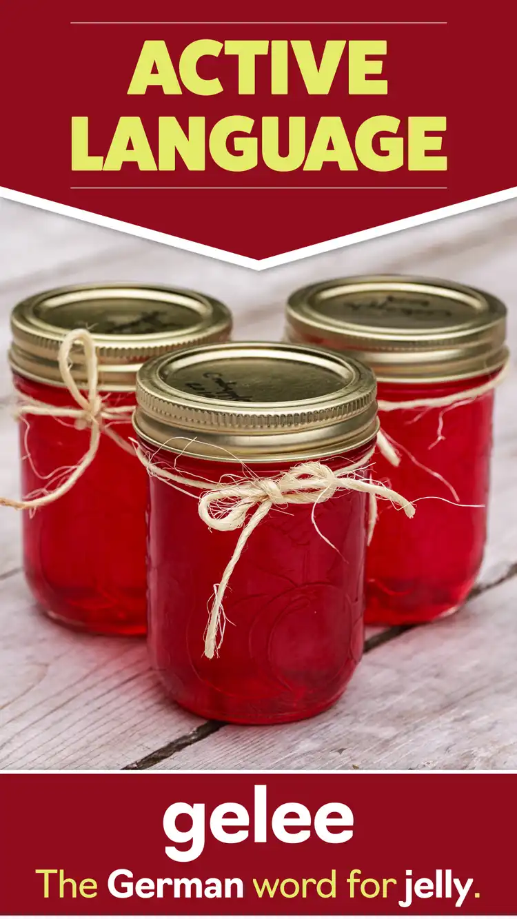 Language Learning  Jelly