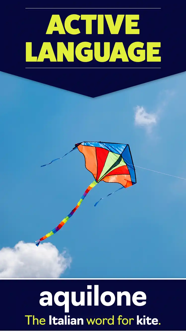 Language Learning  Kite