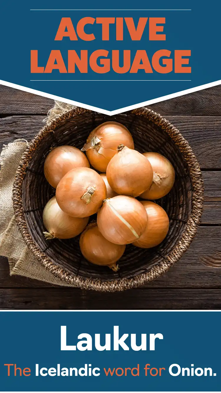 Language Learning  Laukur Onion