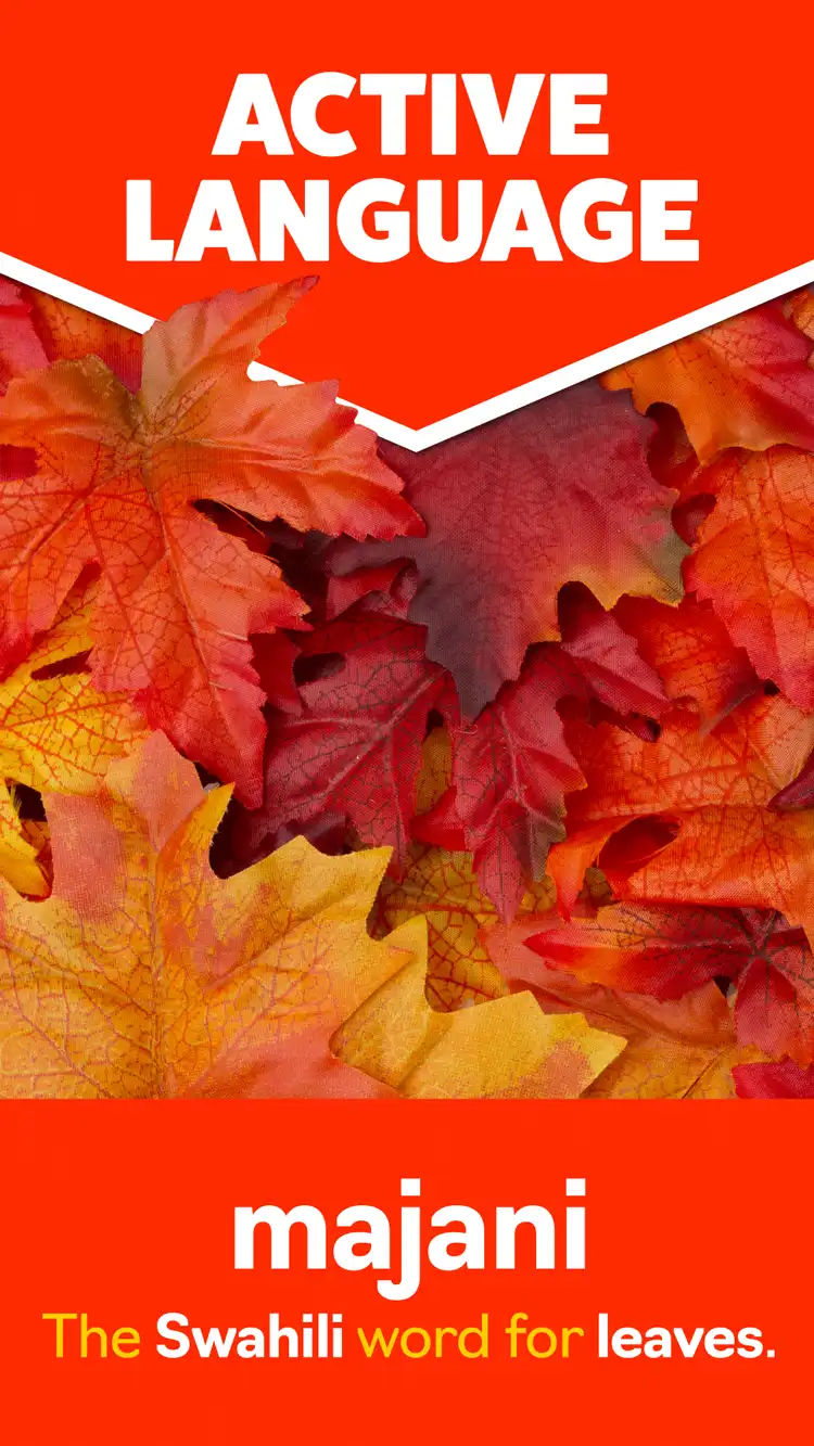 Language Learning  Leaves