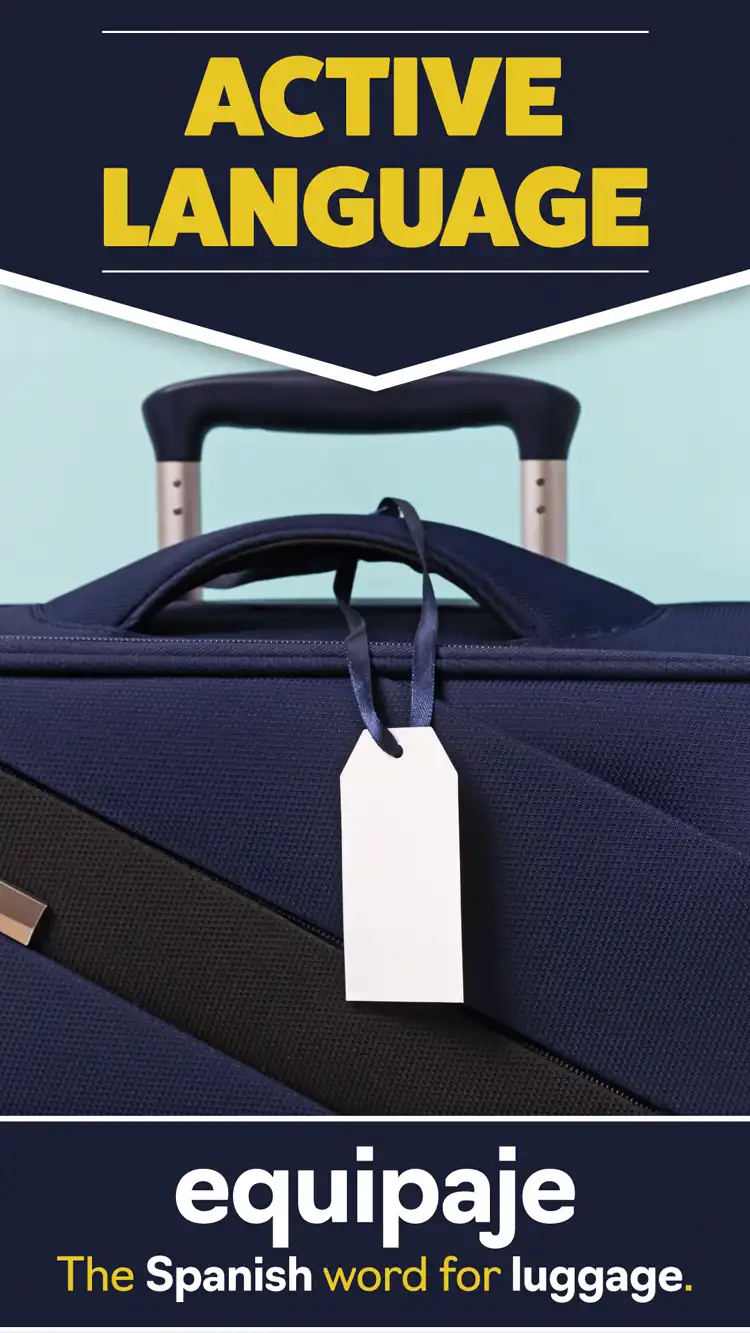 Language Learning  Luggage