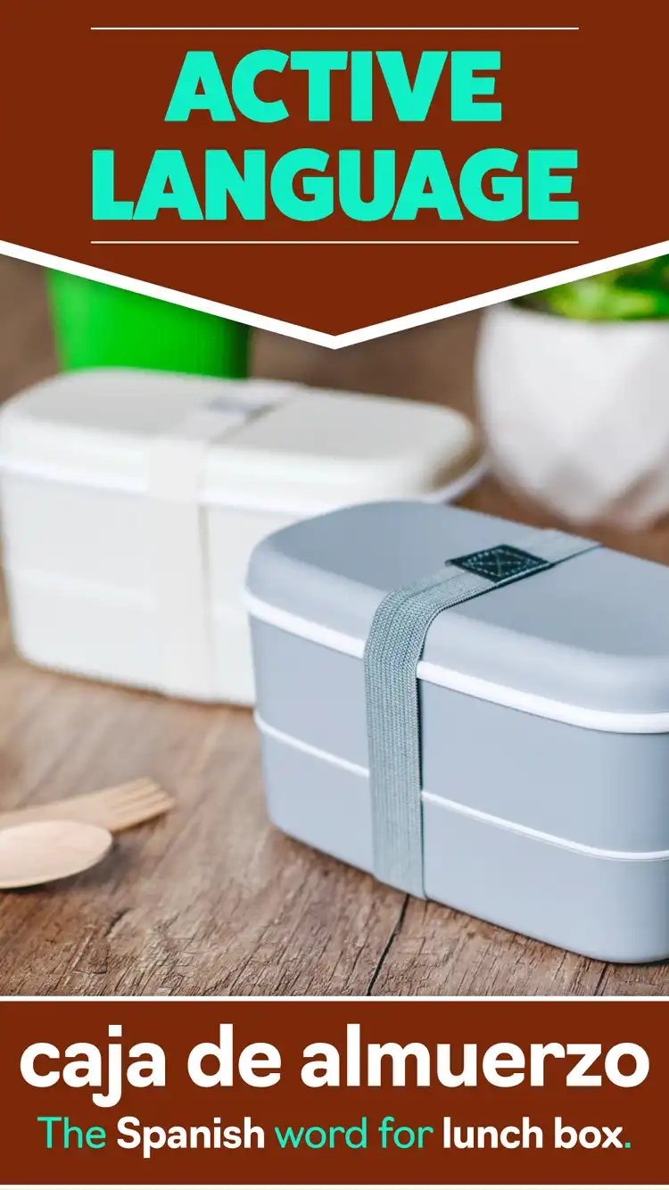 Language Learning  Lunch Box