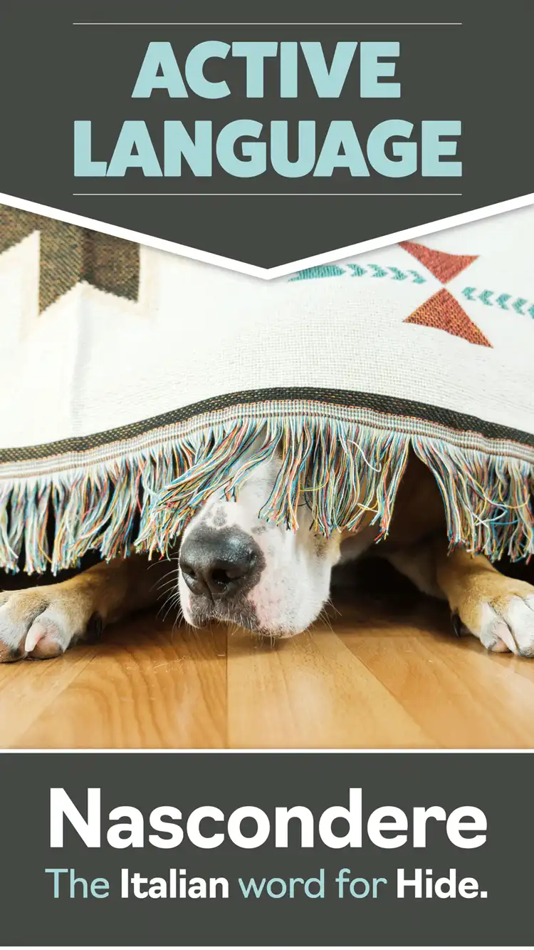 Language Learning  Nascondere Hide