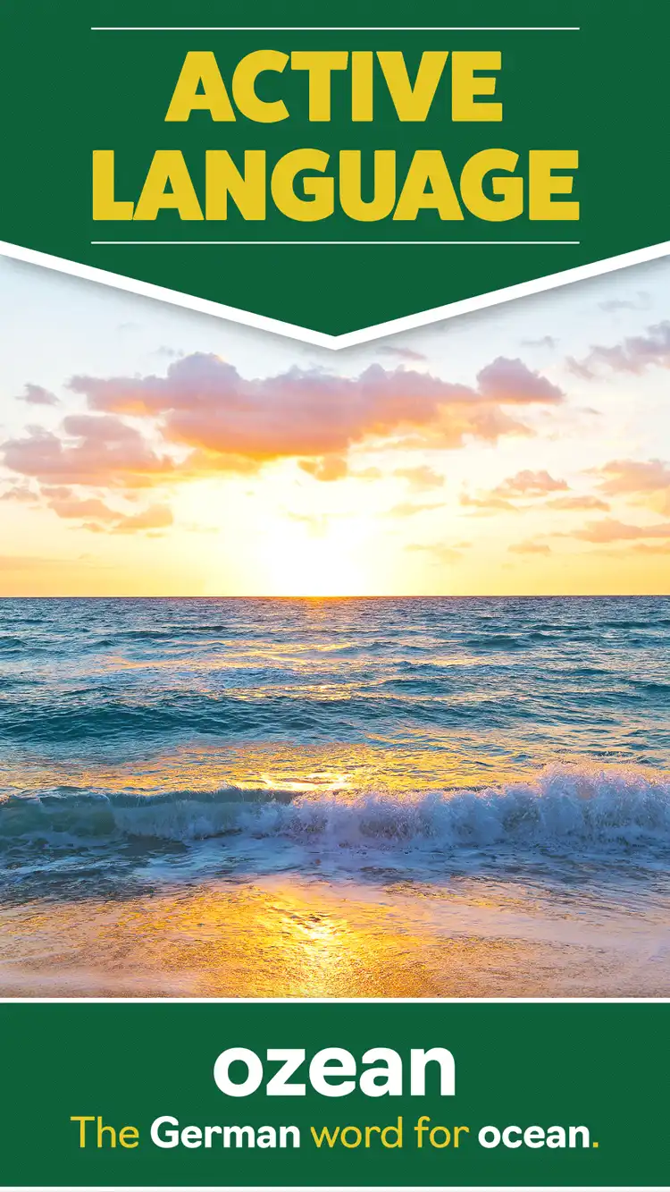 Language Learning  Ocean