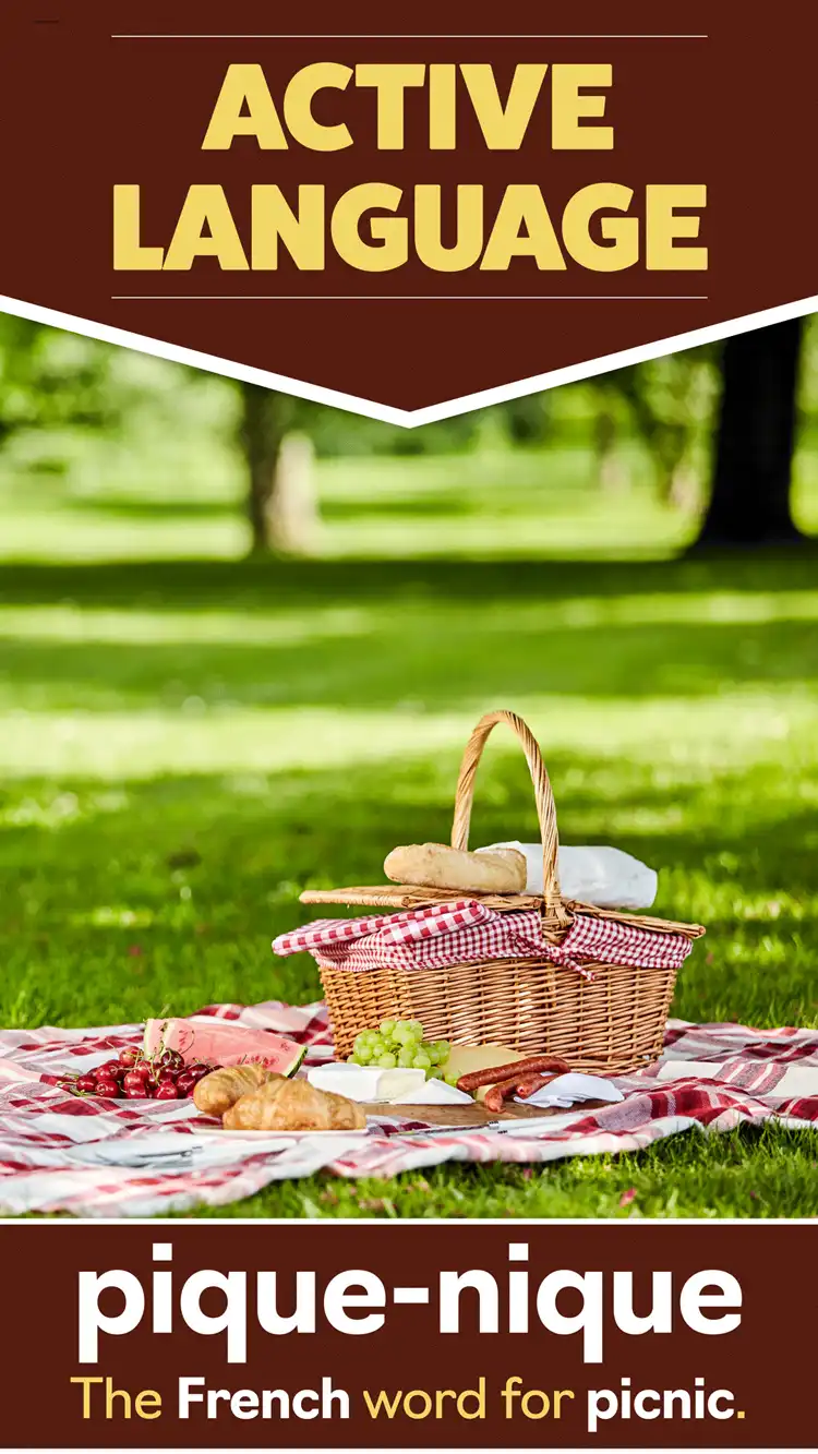 Language Learning  Picnic