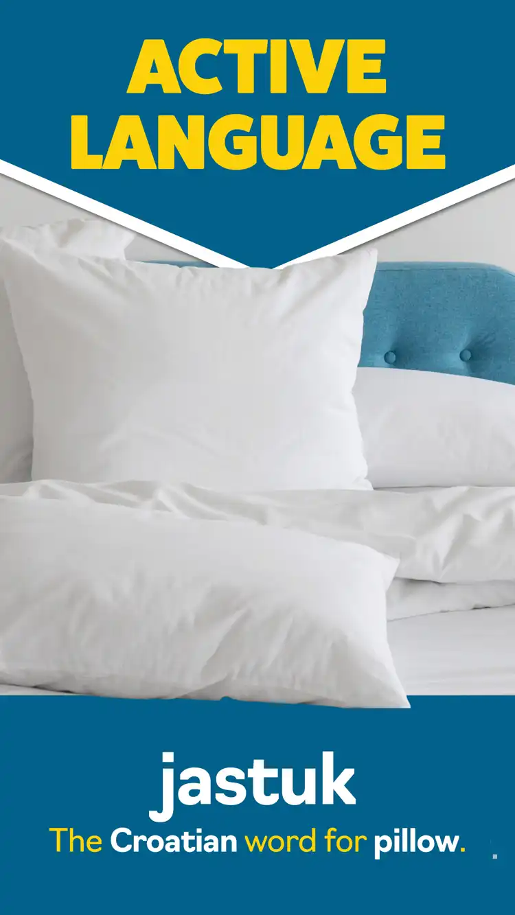 Language Learning  Pillow