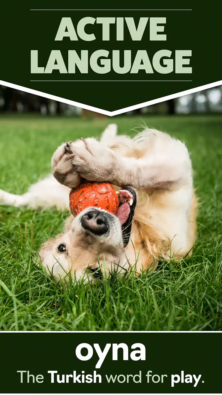 Language Learning  Play