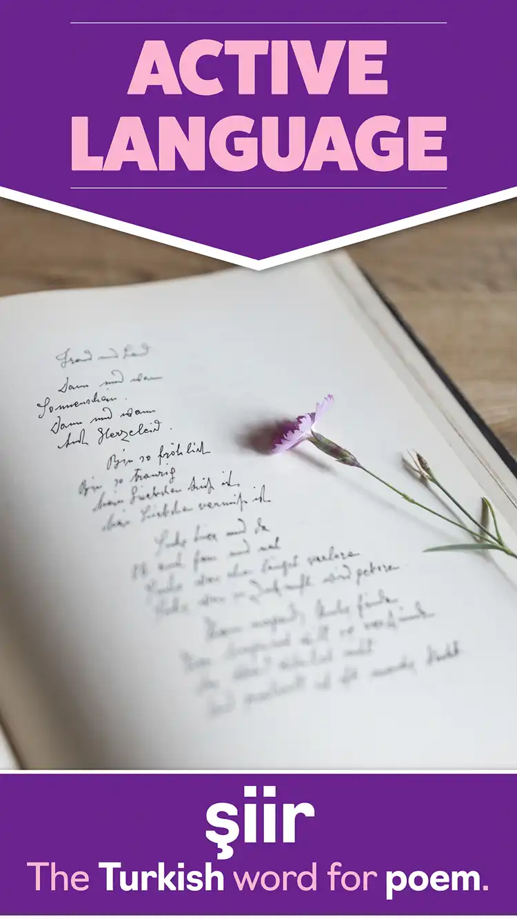 Language Learning  Poem