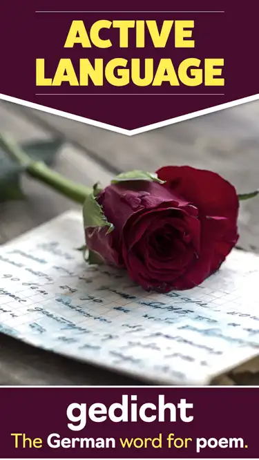 Language Learning  Poem