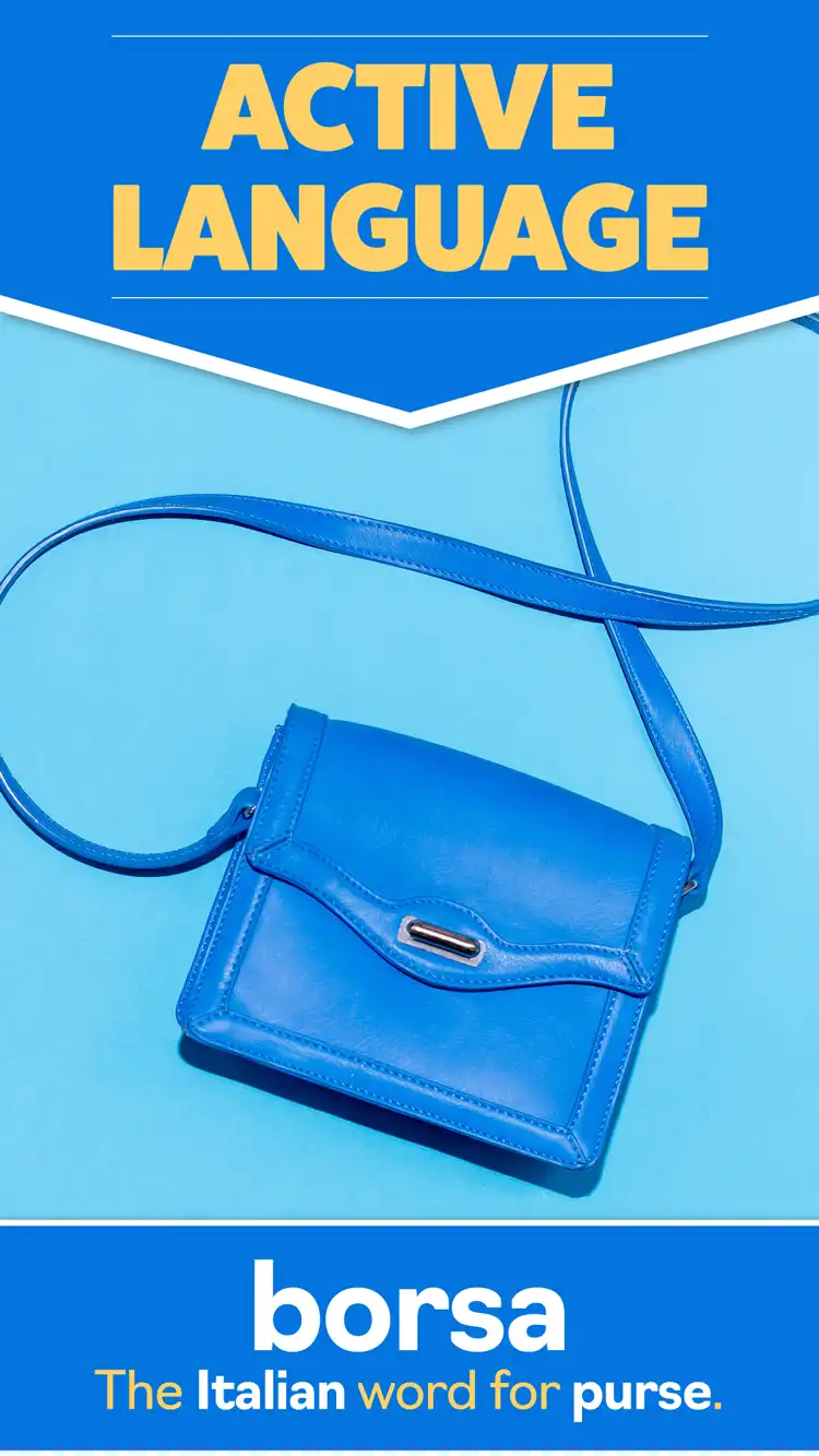 Language Learning  Purse