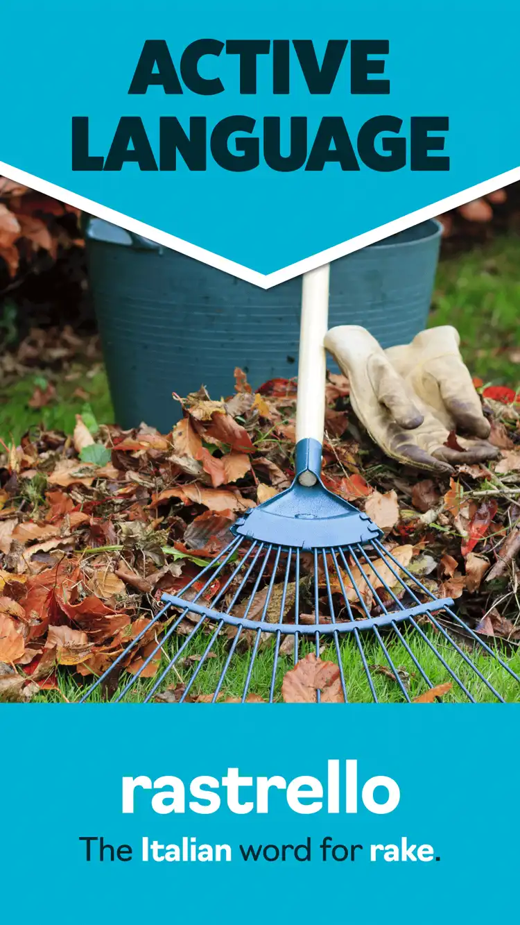 Language Learning  Rake