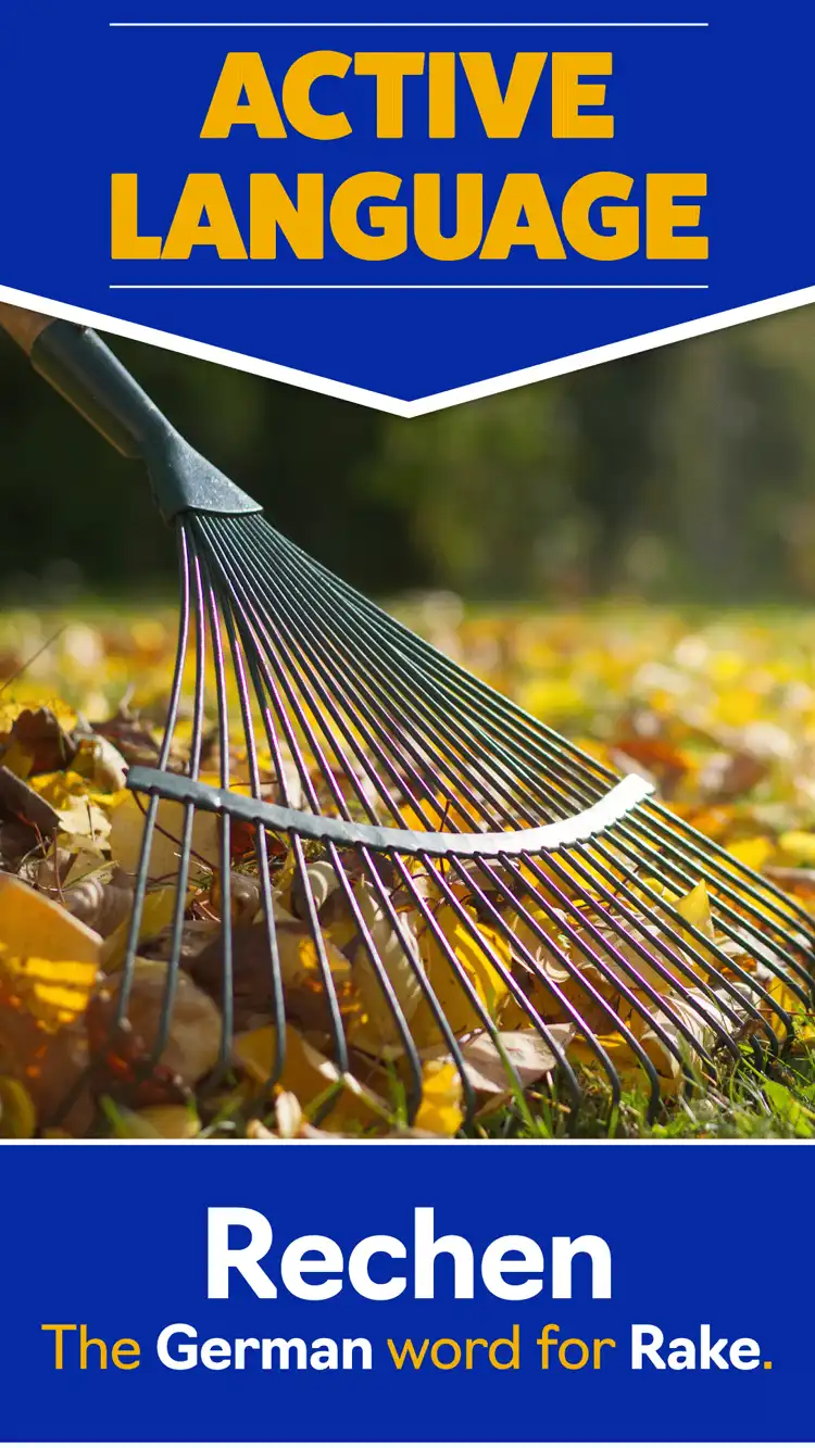 Language Learning  Rake