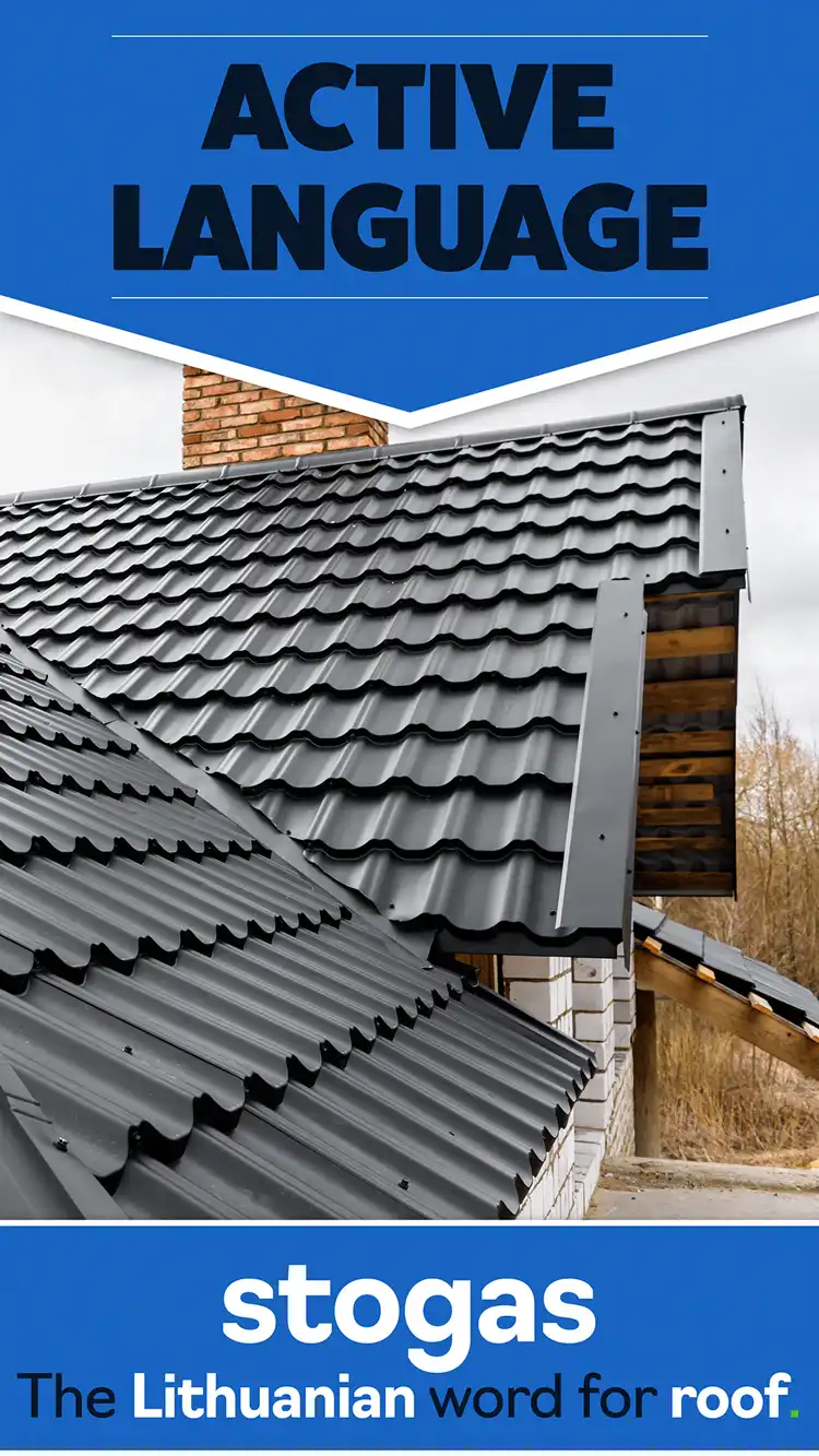 Language Learning  Roof