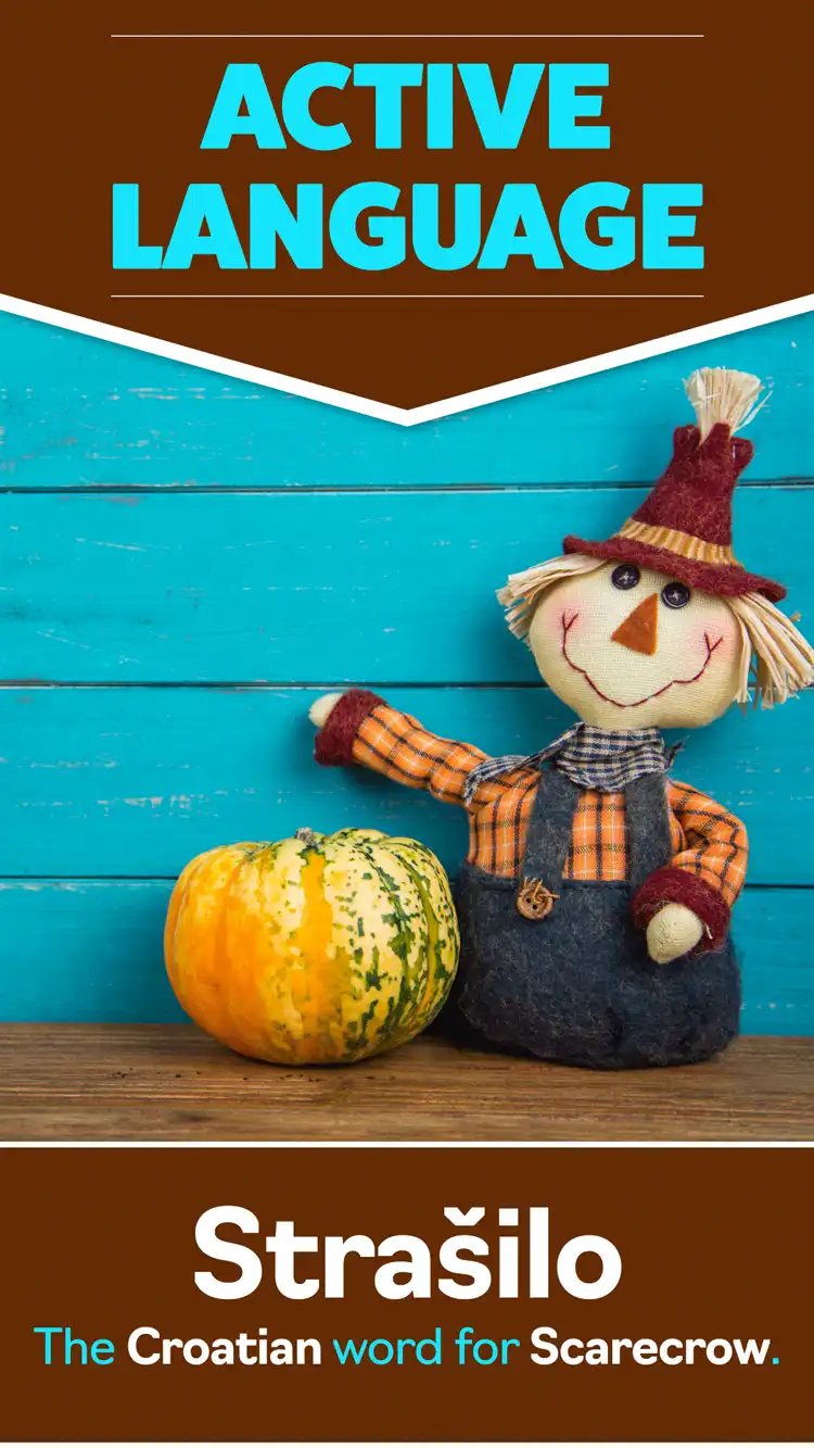 Language Learning  Scarecrow