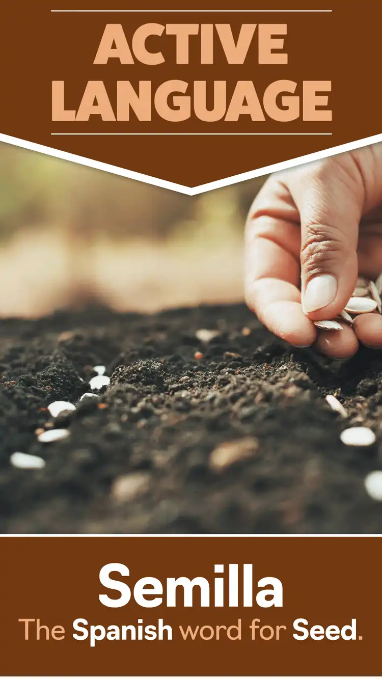 Language Learning  Seed