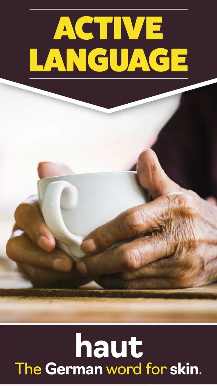 Language Learning  Skin