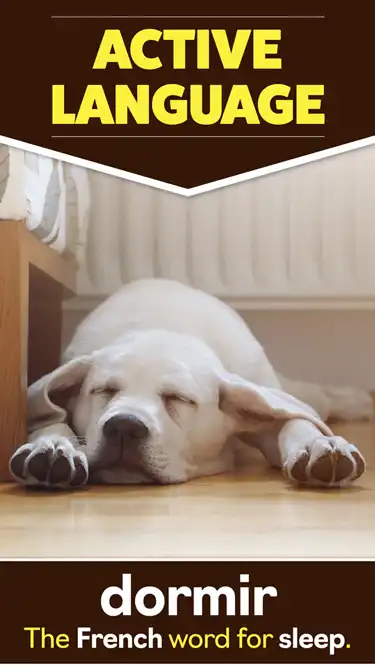 Language Learning  Sleep