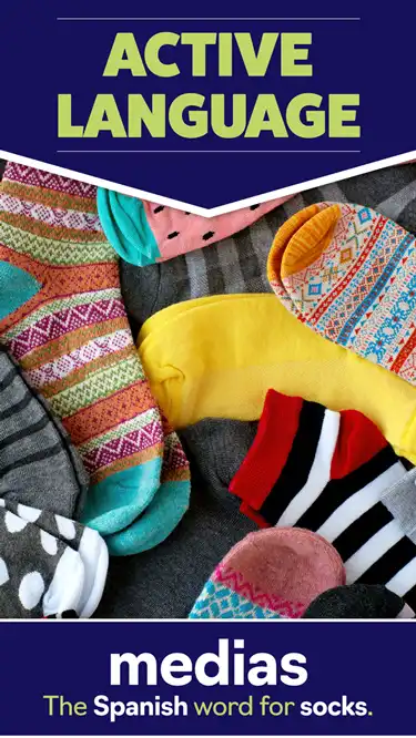 Language Learning  Socks